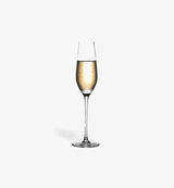 Flûte à champagne Classic 230 ml, silhouette élancée, vue de face sur fond blanc