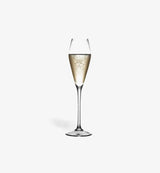 Flûte à champagne Orée 250 ml, silhouette élancée, vue de face sur fond blanc