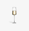 Flûte à champagne Regular 215 ml, silhouette élancée, vue de face sur fond blanc