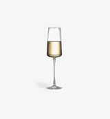Flûte à champagne Regular 215 ml, silhouette élancée, vue de face sur fond blanc